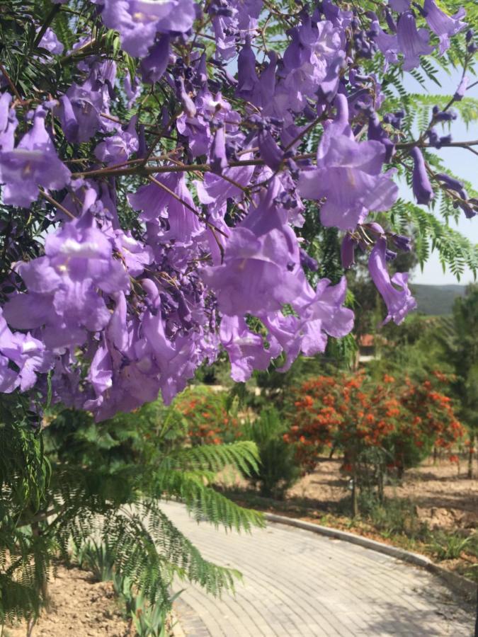 Mountview Alenquer