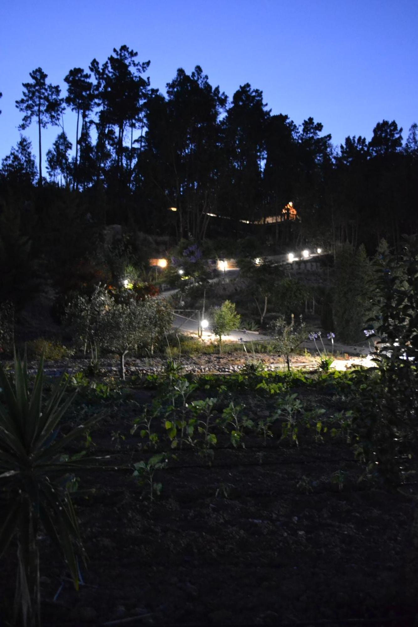 Séjour à la ferme Mountview